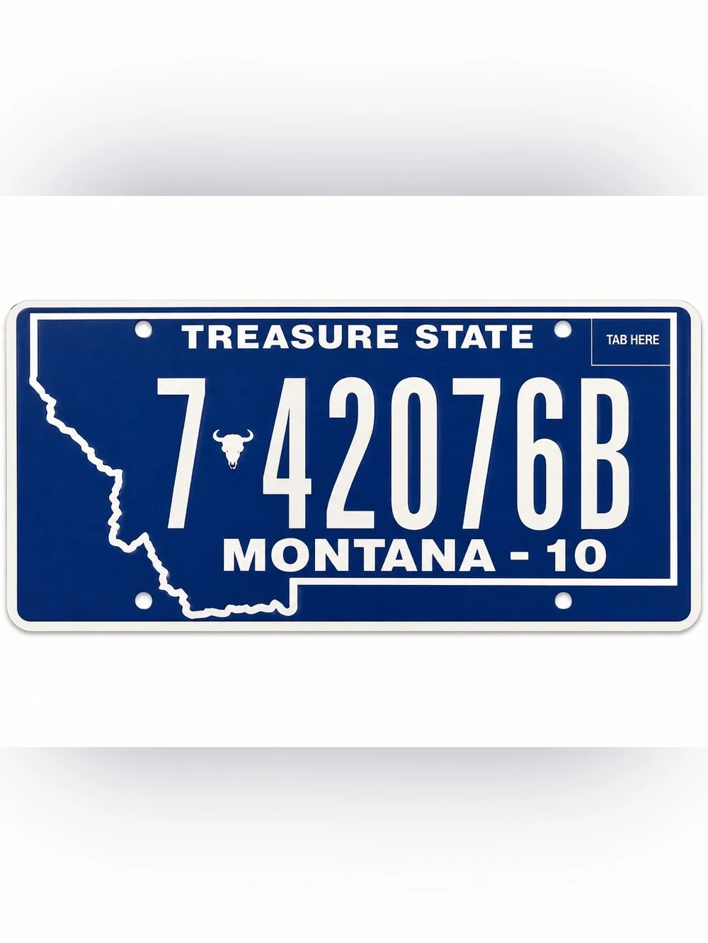 Montana Treasure State License Plate